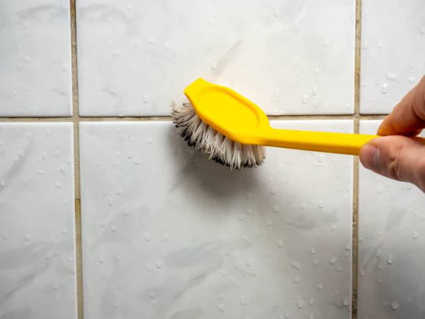 Best Emergency Mold Removal  in Sea Breeze, NC
