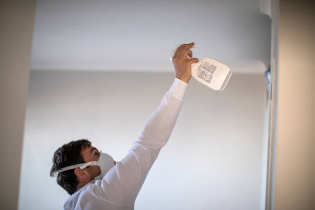 Best Toxic Mold Removal  in Sea Breeze, NC