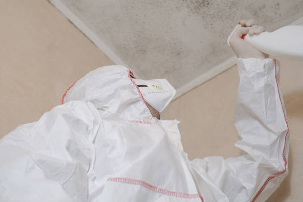 Professional Mold Removal in Sea Breeze, NC
