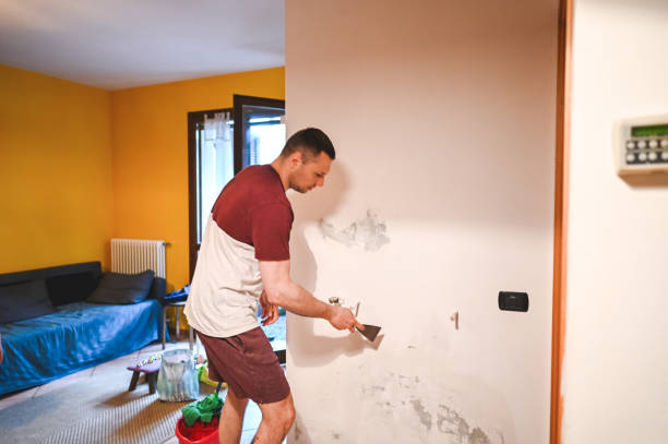 Best Local Mold Removal Service  in Sea Breeze, NC